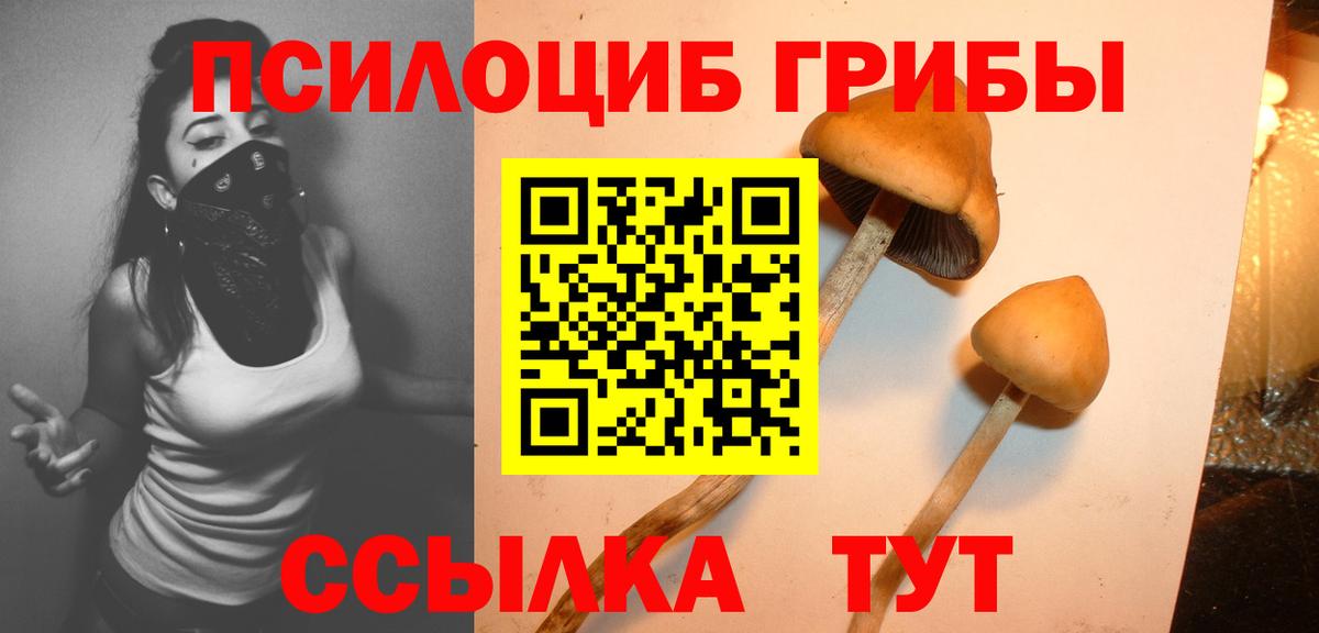 Галлюциногенные грибы прущие грибы Россия