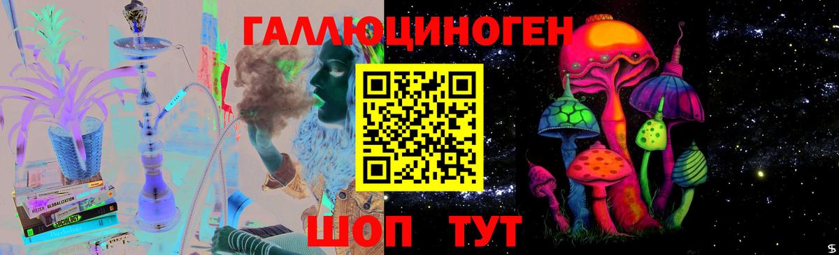Псилоцибиновые грибы MAGIC MUSHROOMS  Галлюциногенные грибы прущие грибы  Вход с VPN  Россия 